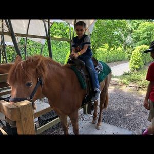 Meet your Posher, Madden